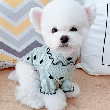Dog turtleneck from paetown store