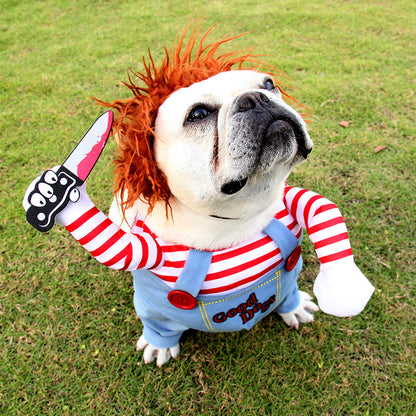 Halloween pet clothes from paetown store