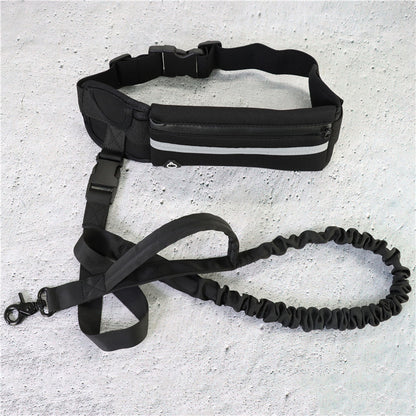 Pet walking leash from paetown
