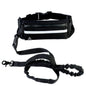 Pet walking leash from paetown