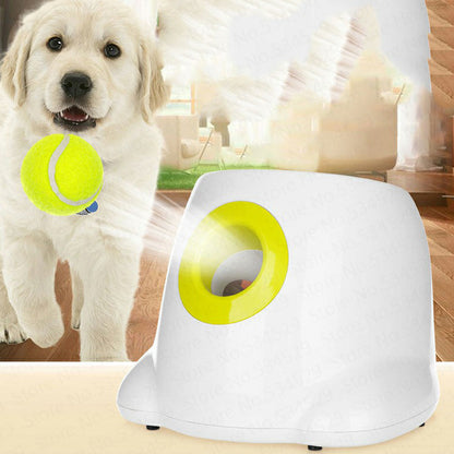 Pets interactive ball launcher from paetown