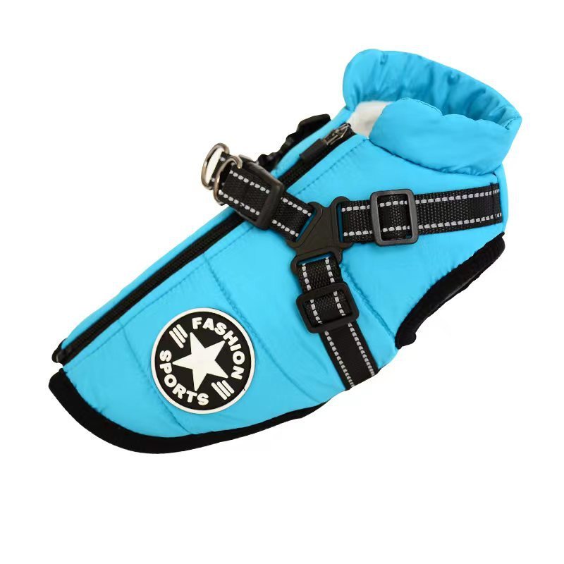 waterproof dog clothe from paetown stores